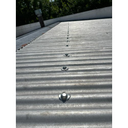 CURVO Bolsa x200 Unidades